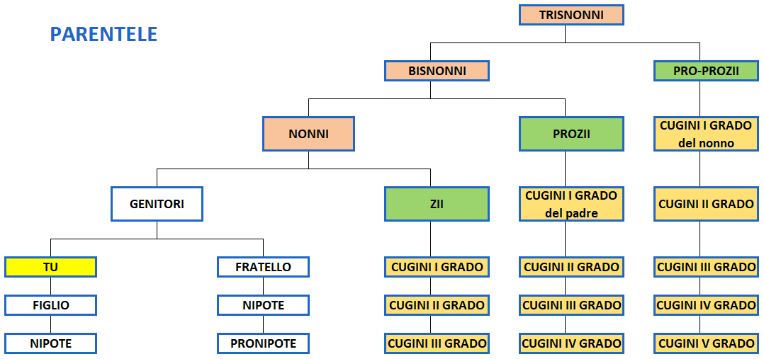 Costruire un albero genealogico con Microsoft Excel